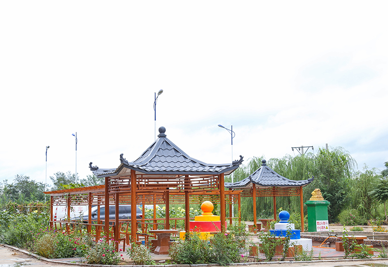 醫(yī)養(yǎng)環(huán)境